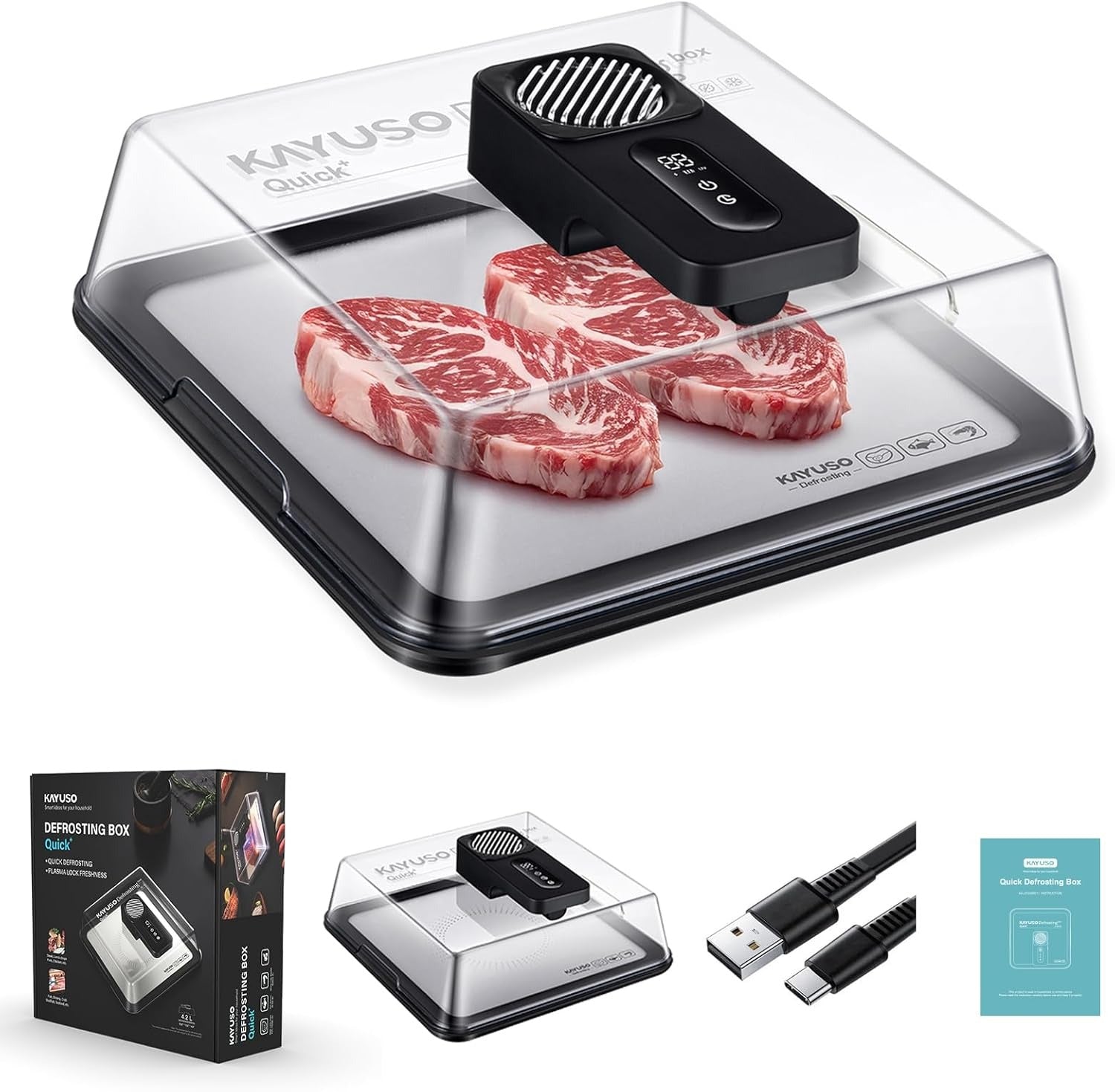 Bandeja de descongelamento rápida para carne, caixa de descongelamento de carne recarregável via USB com tampa